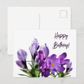 Carte Postale Joyeux anniversaire joli fleurs de crocus mauve fl (Devant / Derrière)