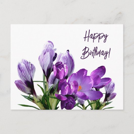 Carte Postale Joyeux anniversaire joli fleurs de crocus mauve fl (Devant)