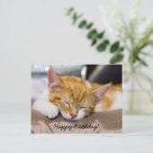 Carte Postale Joyeux Anniversaire Kitten (Debout devant)