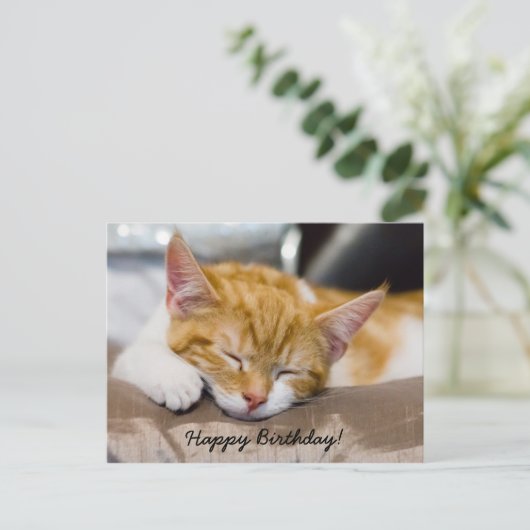 Carte Postale Joyeux Anniversaire Kitten (Debout devant)