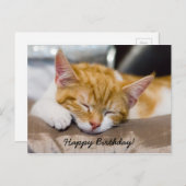 Carte Postale Joyeux Anniversaire Kitten (Devant / Derrière)