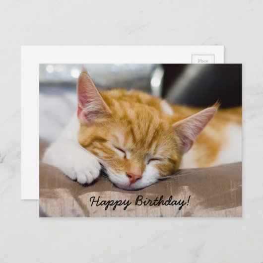 Carte Postale Joyeux Anniversaire Kitten (Devant / Derrière)