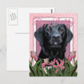 Carte Postale Joyeux anniversaire - Labrador - Noir - Gage (Devant / Derrière)