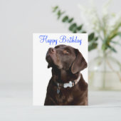Carte Postale Joyeux anniversaire Labrador Retriever Dog Post Ca (Debout devant)