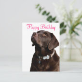 Carte Postale Joyeux anniversaire Labrador Retriever Dog Post Ca (Debout devant)