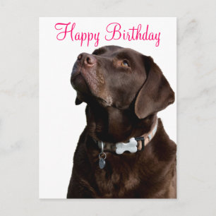 Carte Postale Joyeux anniversaire Labrador Retriever Dog Post Ca
