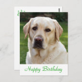 Carte Postale Joyeux anniversaire Labrador Retriever Dog Post Ca (Devant / Derrière)
