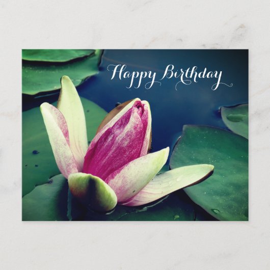 Carte Postale Joyeux Anniversaire Lilly Poscard (Devant)