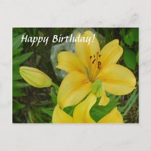 Carte Postale Joyeux anniversaire Lily