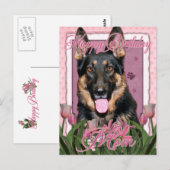 Carte Postale Joyeux Anniversaire Maman - Berger Allemand - Kuno (Devant / Derrière)