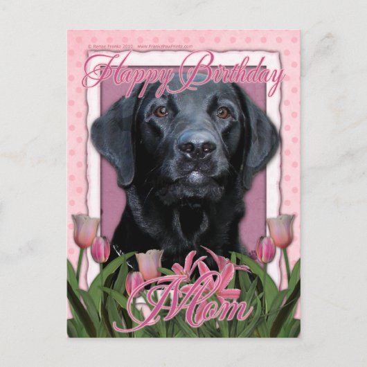 Carte Postale Joyeux Anniversaire Maman - Labrador - Noir - Gage (Devant)