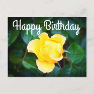 Carte Postale Joyeux Anniversaire Marche sur la Rose de Soleil #