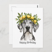 Carte Postale Joyeux Anniversaire Merle Grand Danois Chien Couro (Devant / Derrière)