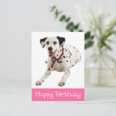 Carte Postale Joyeux anniversaire mignon Amoureux des chiens chi (Debout devant)