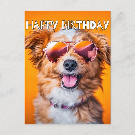 Carte Postale Joyeux Anniversaire mignon animal fête (Devant)