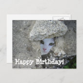 Carte Postale Joyeux anniversaire mignon chat se cachant (Devant / Derrière)