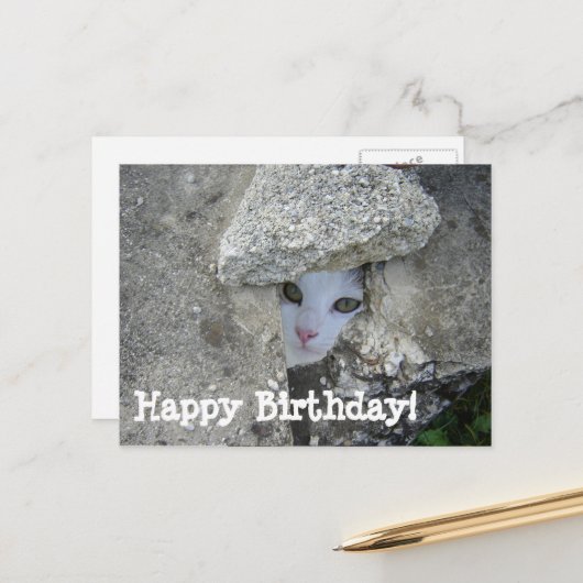 Carte Postale Joyeux anniversaire mignon chat se cachant (Devant/Arrière en situation)