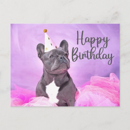 Carte Postale Joyeux Anniversaire Mignon Drôle Bouledogue França (Devant)