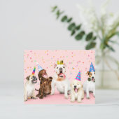Carte Postale Joyeux Anniversaire Mignons Animaux de Fête (Debout devant)
