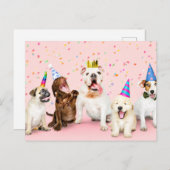 Carte Postale Joyeux Anniversaire Mignons Animaux de Fête (Devant / Derrière)