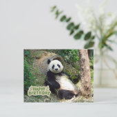 Carte Postale Joyeux Anniversaire Ours Panda Géant  (Debout devant)