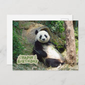 Carte Postale Joyeux Anniversaire Ours Panda Géant  (Devant / Derrière)