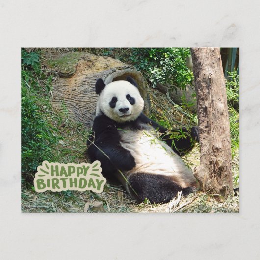 Carte Postale Joyeux Anniversaire Ours Panda Géant  (Devant)