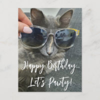 "joyeux anniversaire pawty" drôle photo de chaton