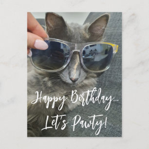 Carte Postale "joyeux anniversaire pawty" drôle photo de chaton 