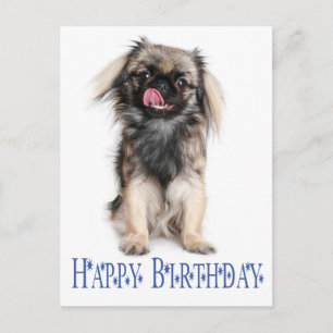 Carte Postale Joyeux anniversaire Pekingese Chien Chien Chien Ch