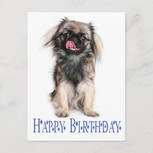 Carte Postale Joyeux anniversaire Pekingese Chien Chien Chien Ch (Devant)