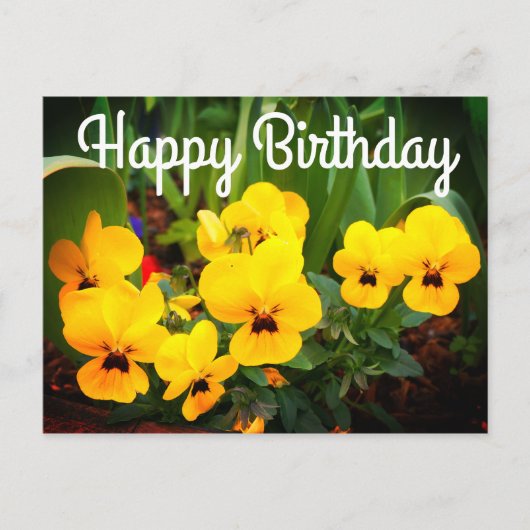 Carte postale Joyeux Anniversaire Pensée jaune #1 (Devant)
