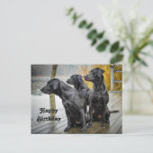 Carte Postale Joyeux anniversaire photo de labrador noir mignon  (Debout devant)