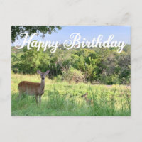 Joyeux Anniversaire Photographie Cerf Belle Nature