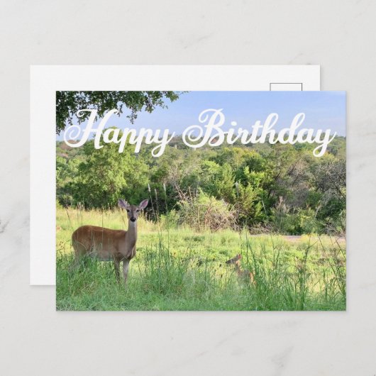 Carte Postale Joyeux Anniversaire Photographie de Cerf Belle Nat (Devant / Derrière)