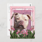 Carte Postale Joyeux anniversaire - Pitbull - Jersey Girl (Devant / Derrière)