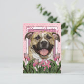 Carte Postale Joyeux anniversaire - Pitbull - Tigger (Debout devant)