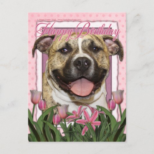 Carte Postale Joyeux anniversaire - Pitbull - Tigger (Devant)