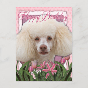 Carte Postale Joyeux anniversaire - Poodle