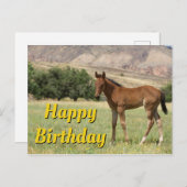 Carte Postale Joyeux Anniversaire Poulain (Devant / Derrière)