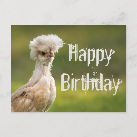 Carte Postale Joyeux Anniversaire Poule Polonaise (Devant)