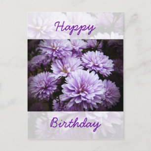 Carte Postale Joyeux anniversaire - Purple Haze Chrysanthemums