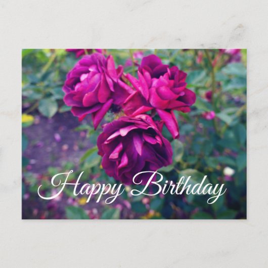 Carte Postale Joyeux Anniversaire Rose Glacée de Bourgogne #3-2 (Devant)