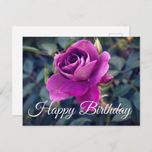 Carte postale Joyeux Anniversaire Rose Iceberg Bou (Devant / Derrière)