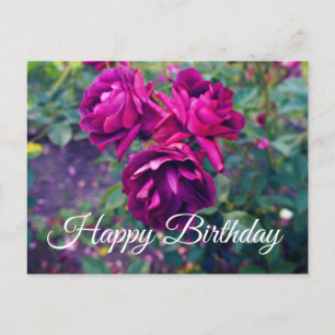 Carte Postale Joyeux Anniversaire Rose Iceberg Bourgogne #3-2 Ca