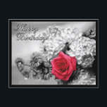 Carte Postale Joyeux anniversaire ! Rose rouge avec noir et blan<br><div class="desc">Rose rouge avec noir et blanc Arrière - plan voeux Anniversaire Cartes postales.</div>