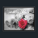 Carte Postale Joyeux anniversaire ! Rose rouge avec noir et blan<br><div class="desc">Rose rouge avec noir et blanc Arrière - plan voeux Anniversaire Cartes postales.</div>