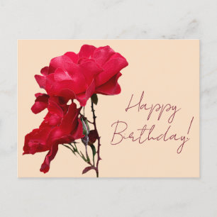 Carte Postale Joyeux Anniversaire rose rouge fleurs boho fleurie