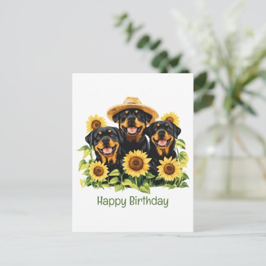 Carte Postale Joyeux Anniversaire Rottweiler Chiens Sunflowers (Debout devant)