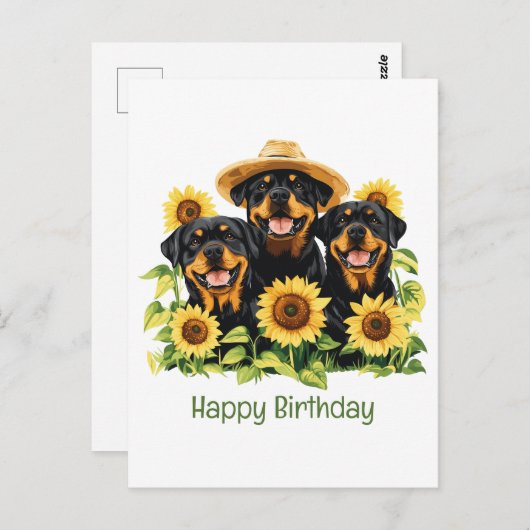 Carte Postale Joyeux Anniversaire Rottweiler Chiens Sunflowers (Devant / Derrière)